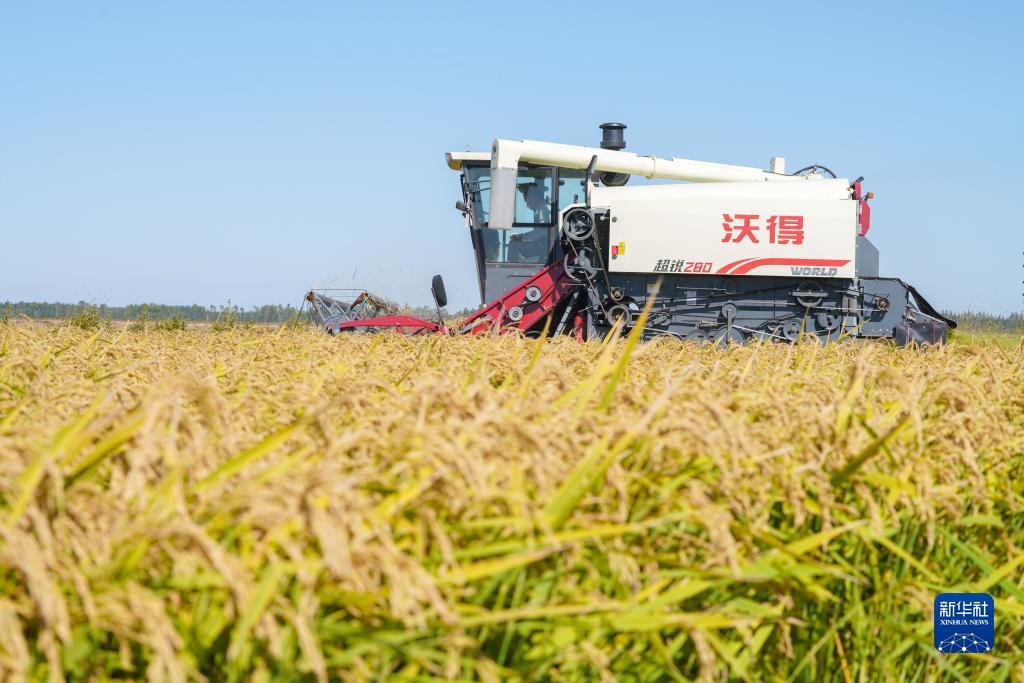 新人送现金可立即提现